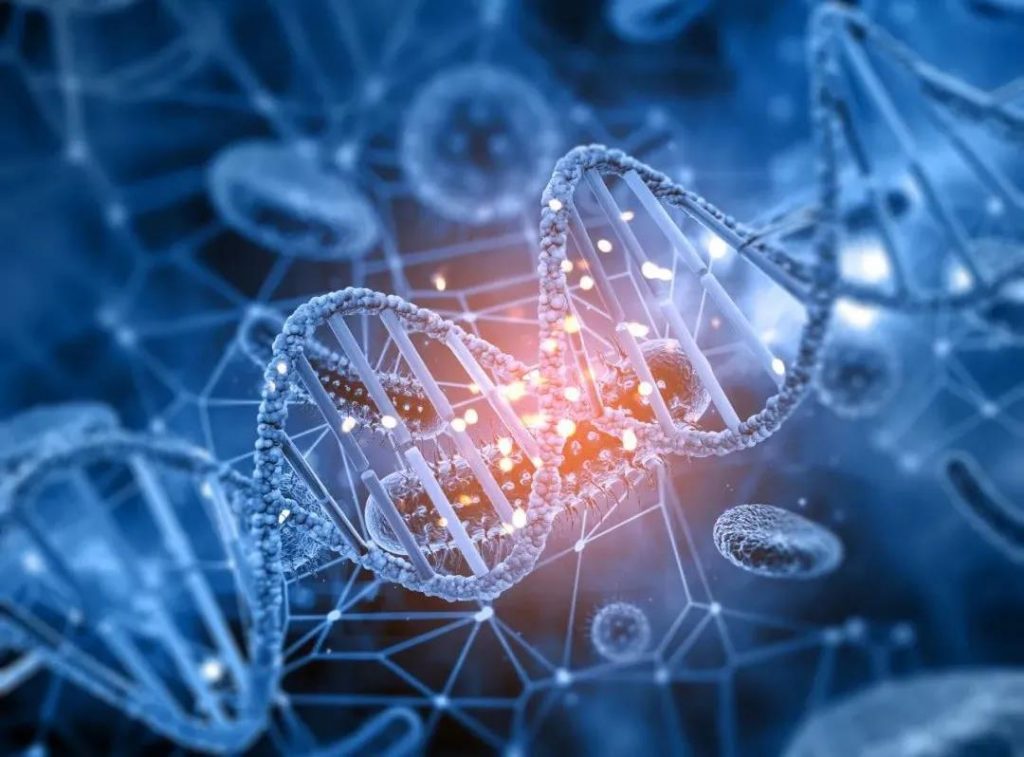 点宽与深圳的生物医药公司合作细胞因子分析系统项目